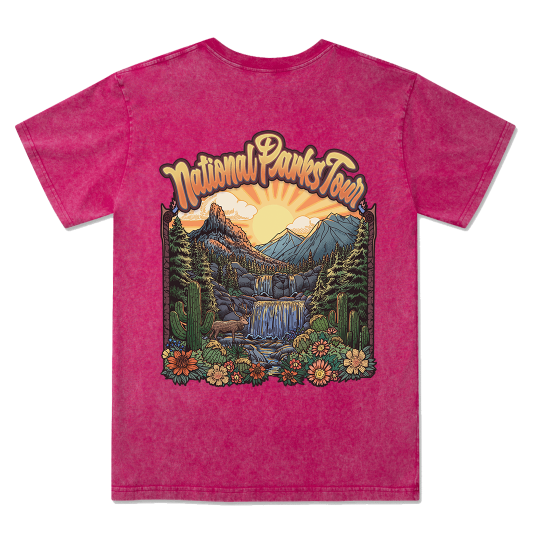 National Parks Tour Washed Tee