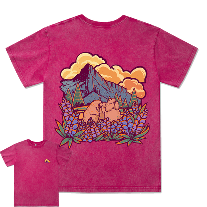 Mount Rainier National Park Washed Tee