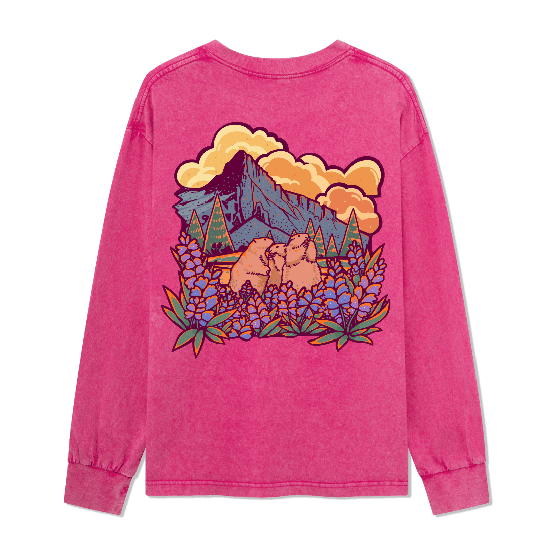 Mount Rainier National Park Washed Long Sleeve Top