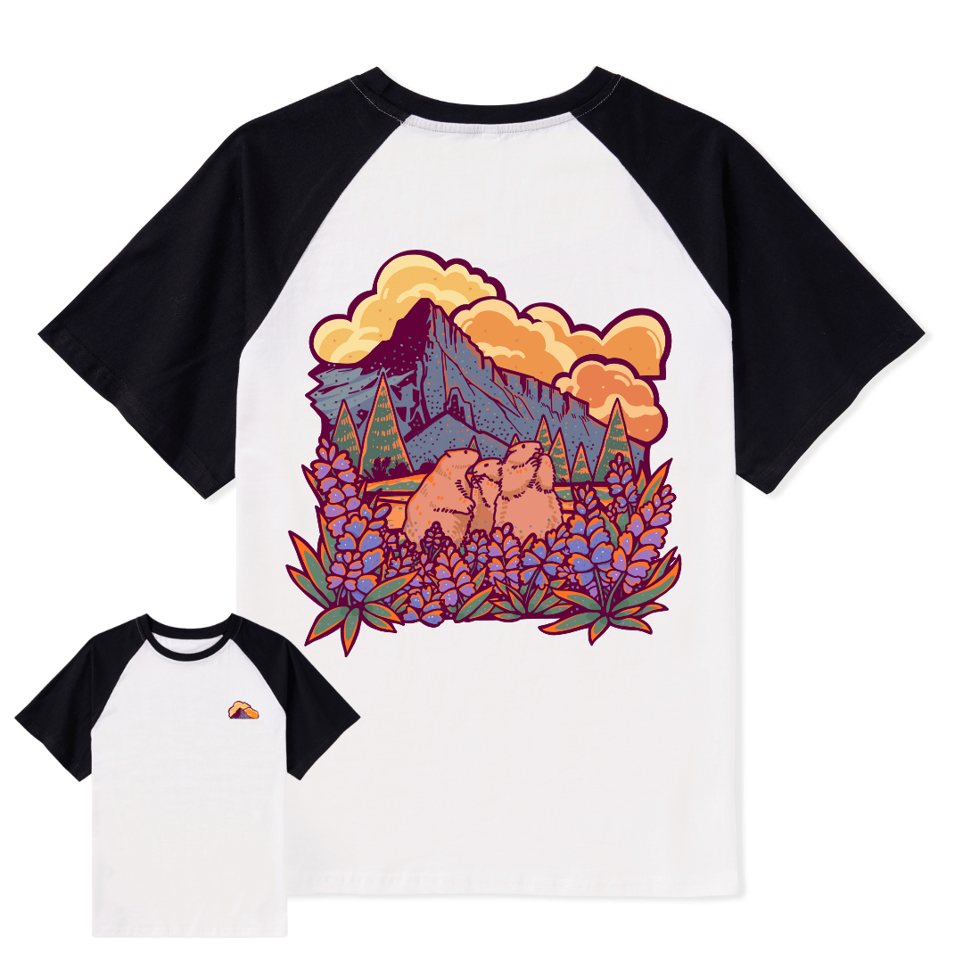 Mount Rainier National Park Raglan Short Sleeve Top