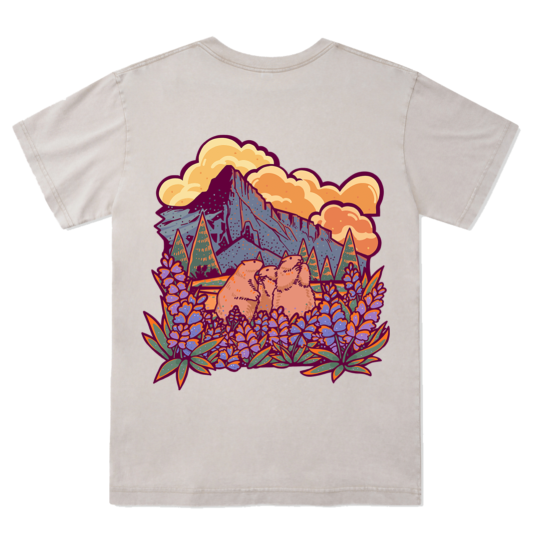 Mount Rainier National Park Washed Tee