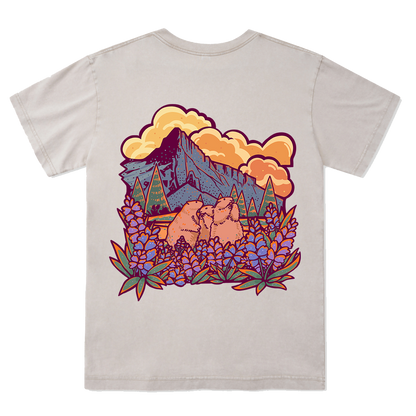 Mount Rainier National Park Washed Tee