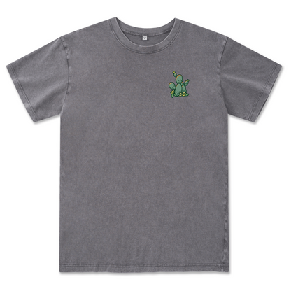 Big Bend National Park Washed Tee