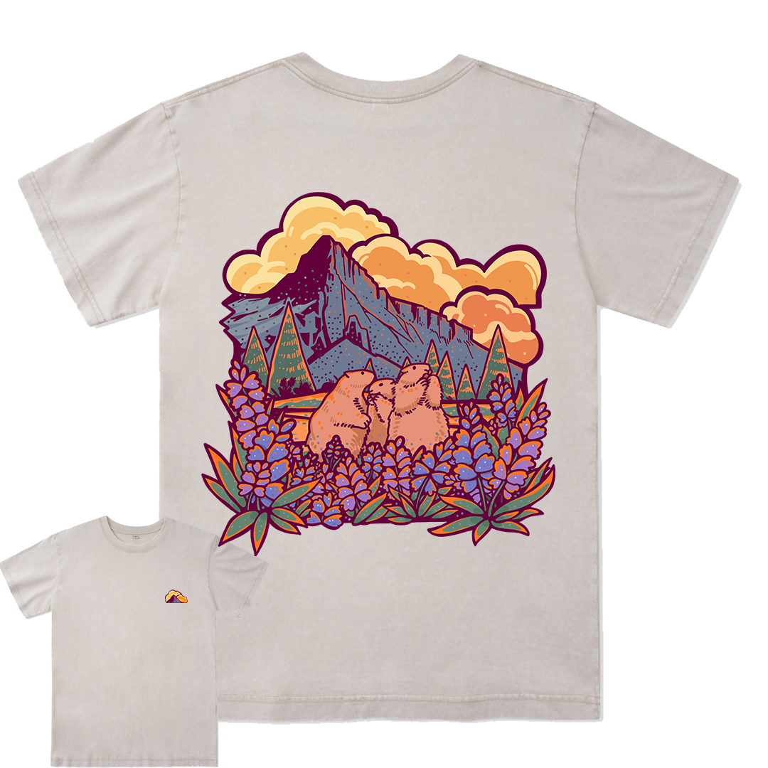 Mount Rainier National Park Washed Tee