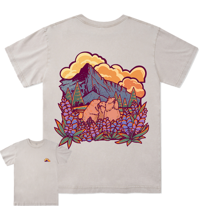 Mount Rainier National Park Washed Tee
