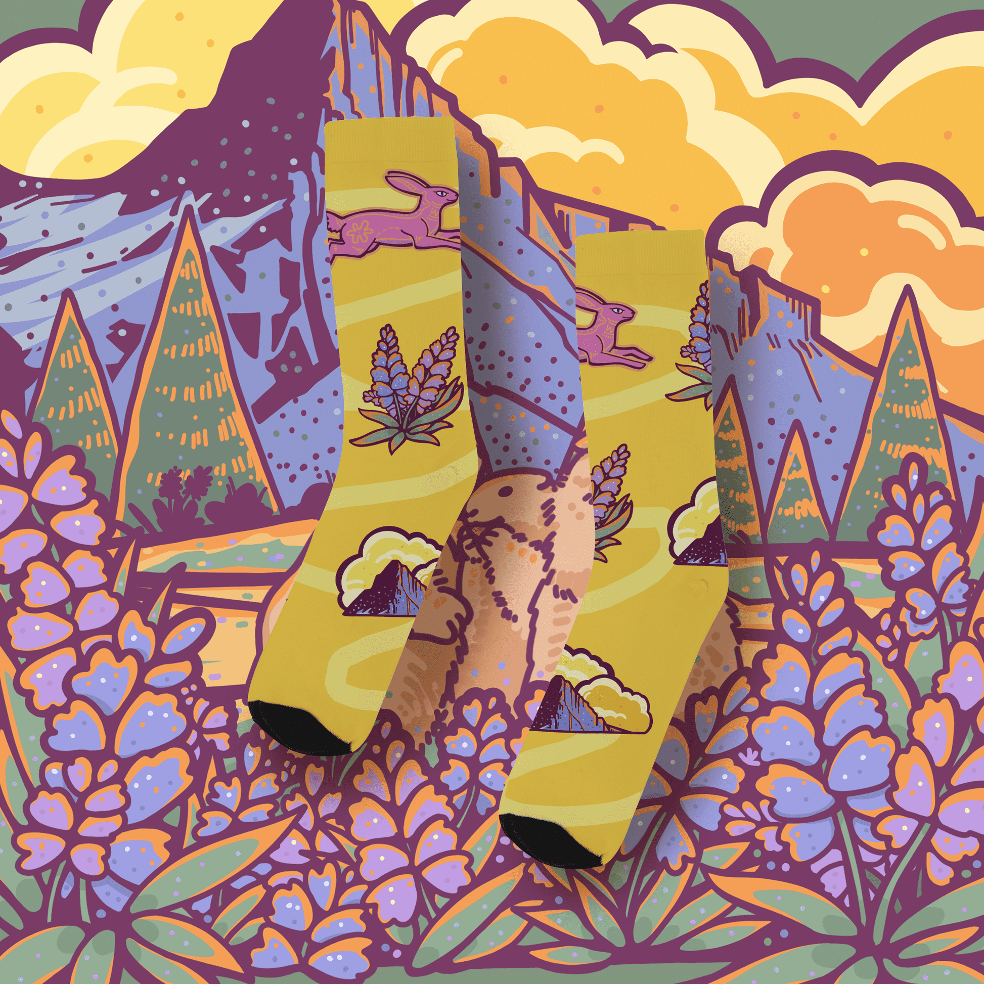 Splendid Sock